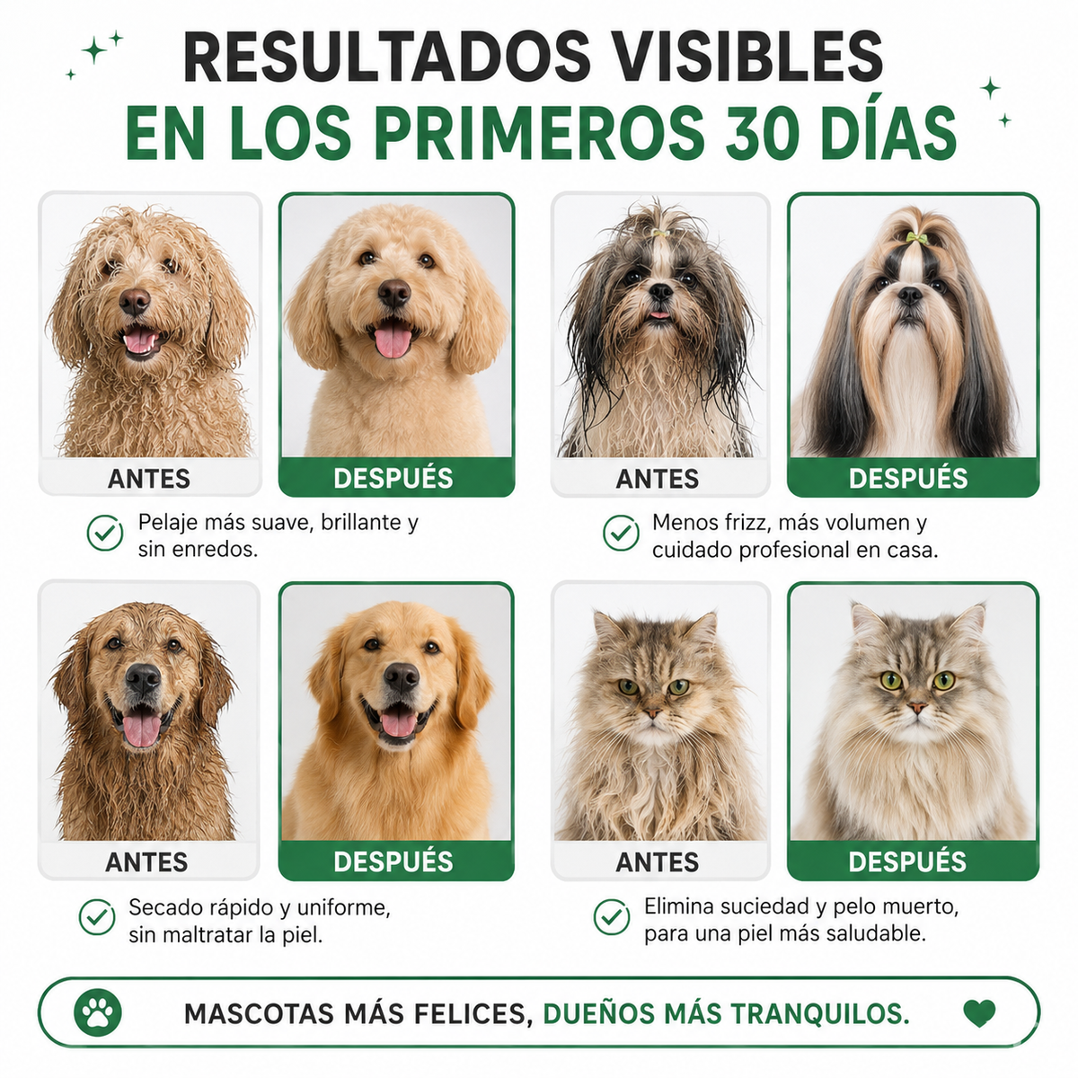 Cepillo Y Secador De Mascotas